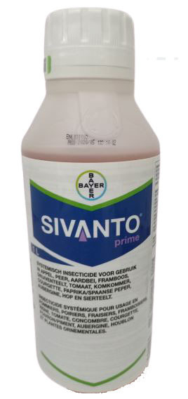 SIVANTO PRIME SL + 10855P/B-1L