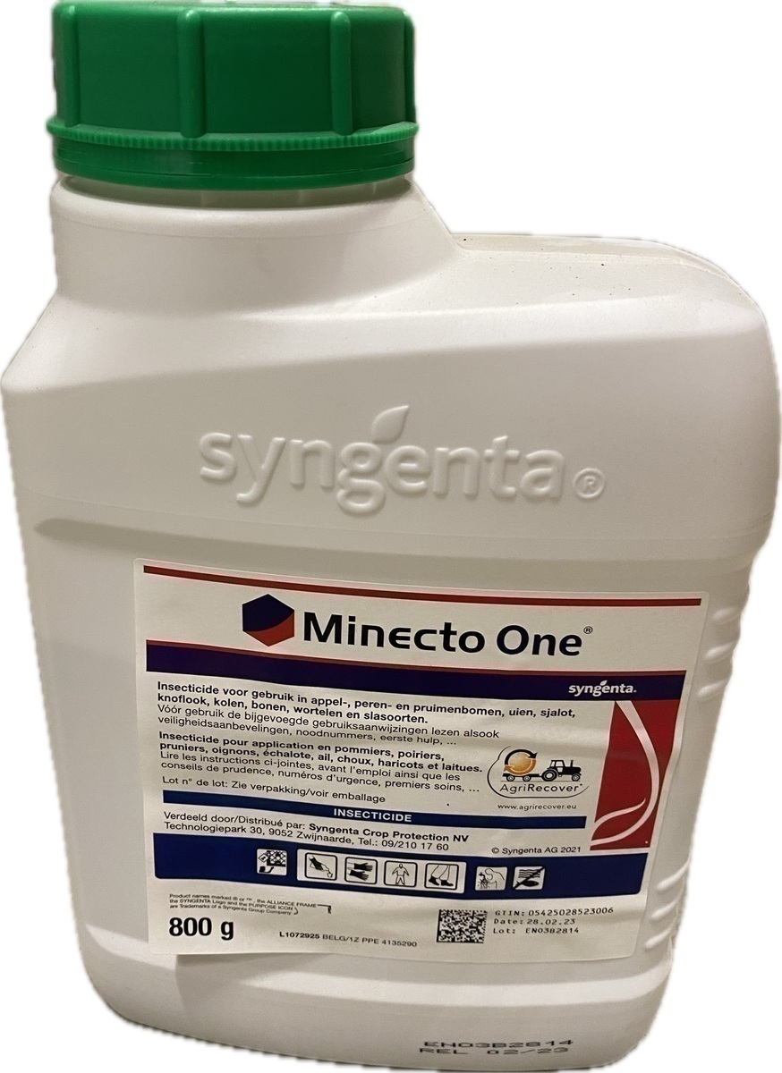 MINECTO ONE-0.8Kg 11119P/B