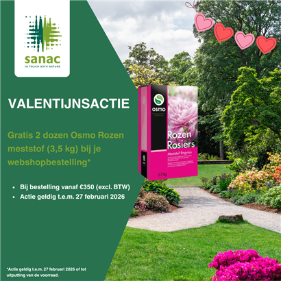 Valentijnsactie 